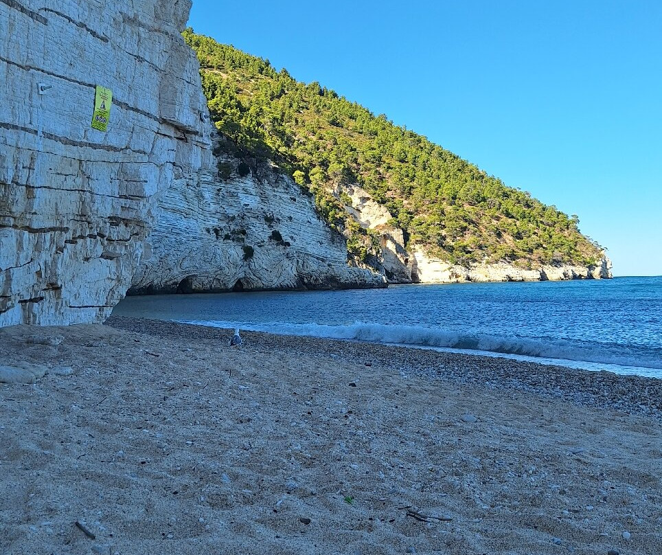 Baia delle Zagare-Mattinata必去景点