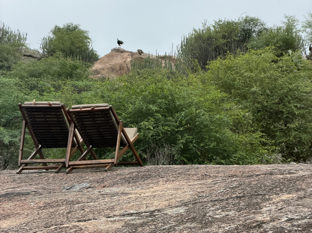 Brij Pola, Jawai - Luxury Jungle Camp with Private Pools主图