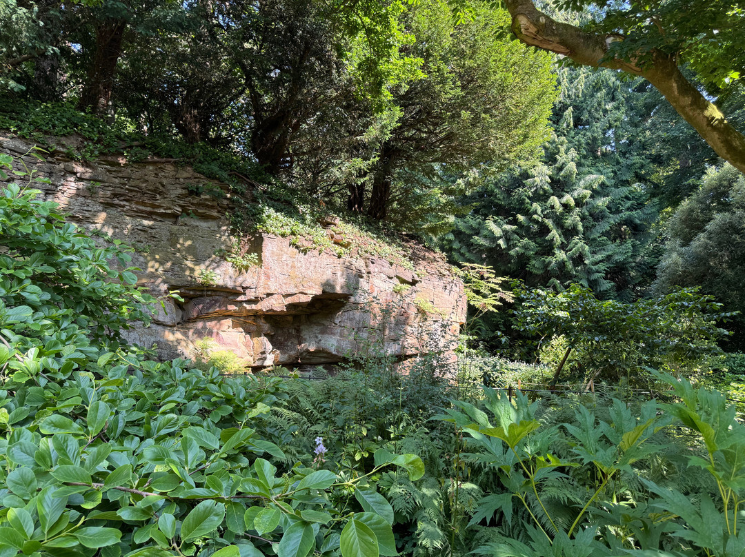 Belsay Hall Castle And Gardens-Belsay必去景点