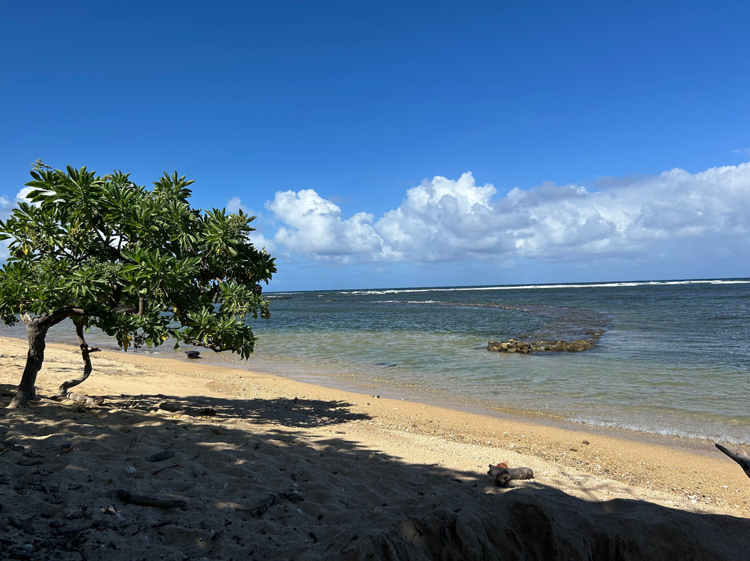 Dixie Maru Beach (Kapukahehu)-摩洛凯岛必去景点