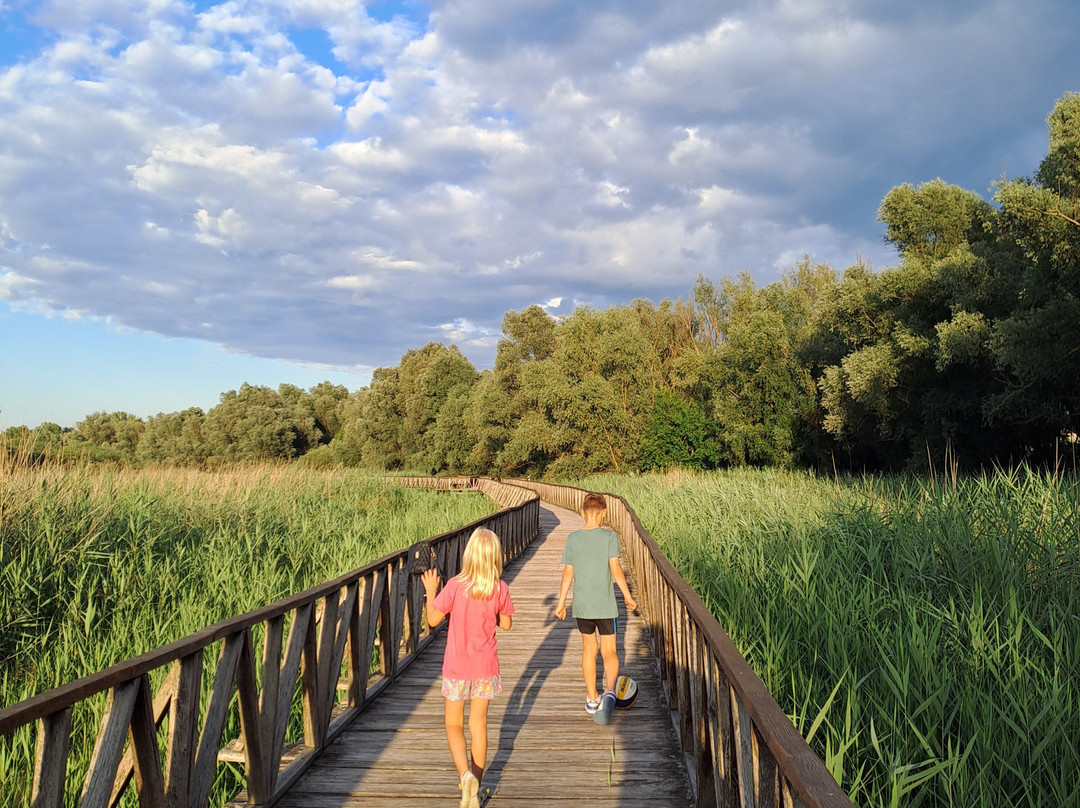 Kopacki Rit Nature Park-Bilje必去景点