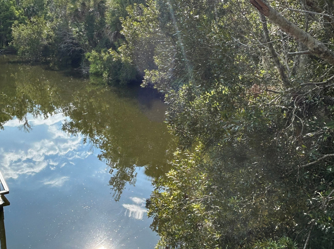 Welaka State Forest-Welaka必去景点