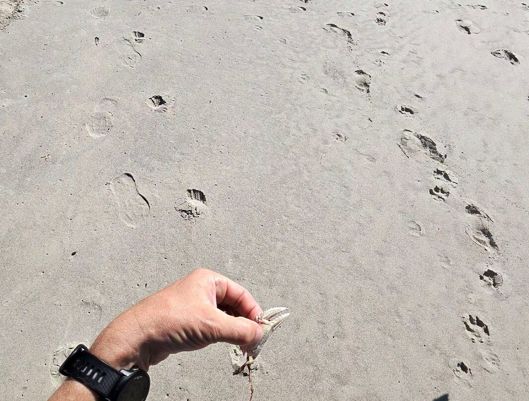 Rockaway Beach Wayside-Rockaway Beach必去景点