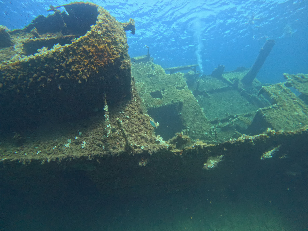 Bluelba Diving-厄尔巴岛必去景点
