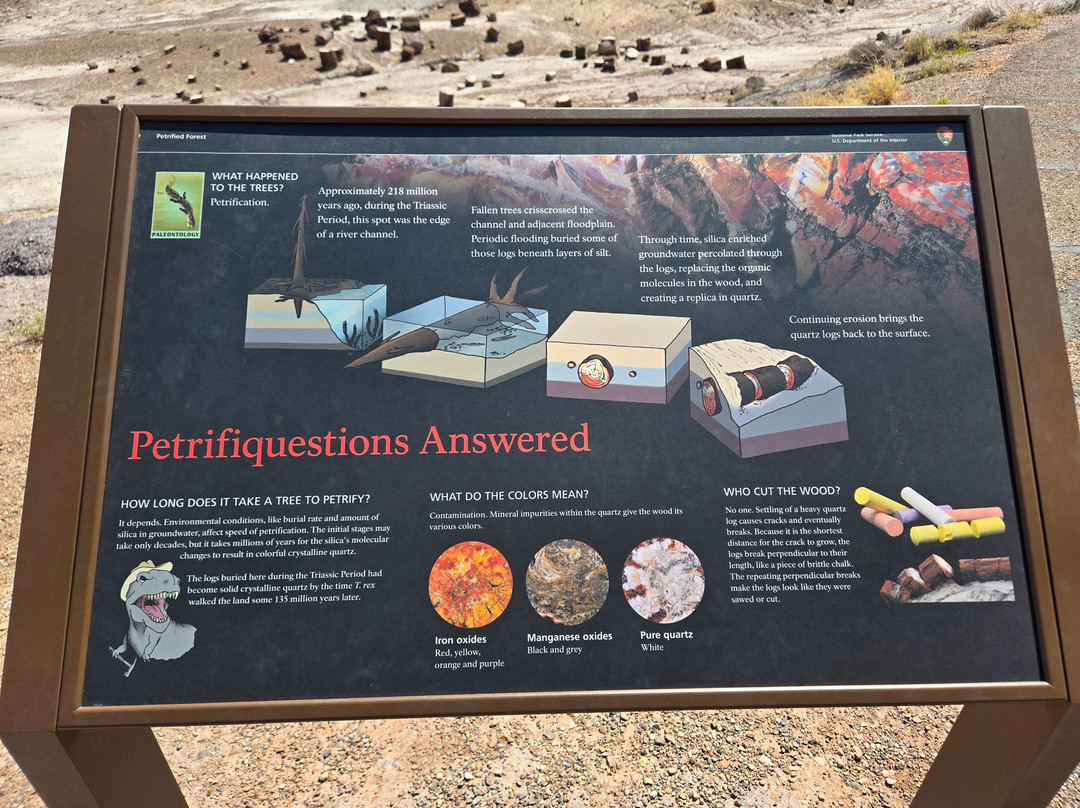 Petrified Forest National Park-霍尔布鲁克必去景点