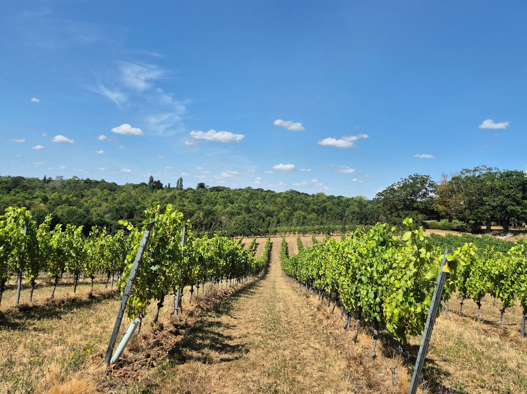 Missing Gate Vineyard-Woodham Ferrers必去景点