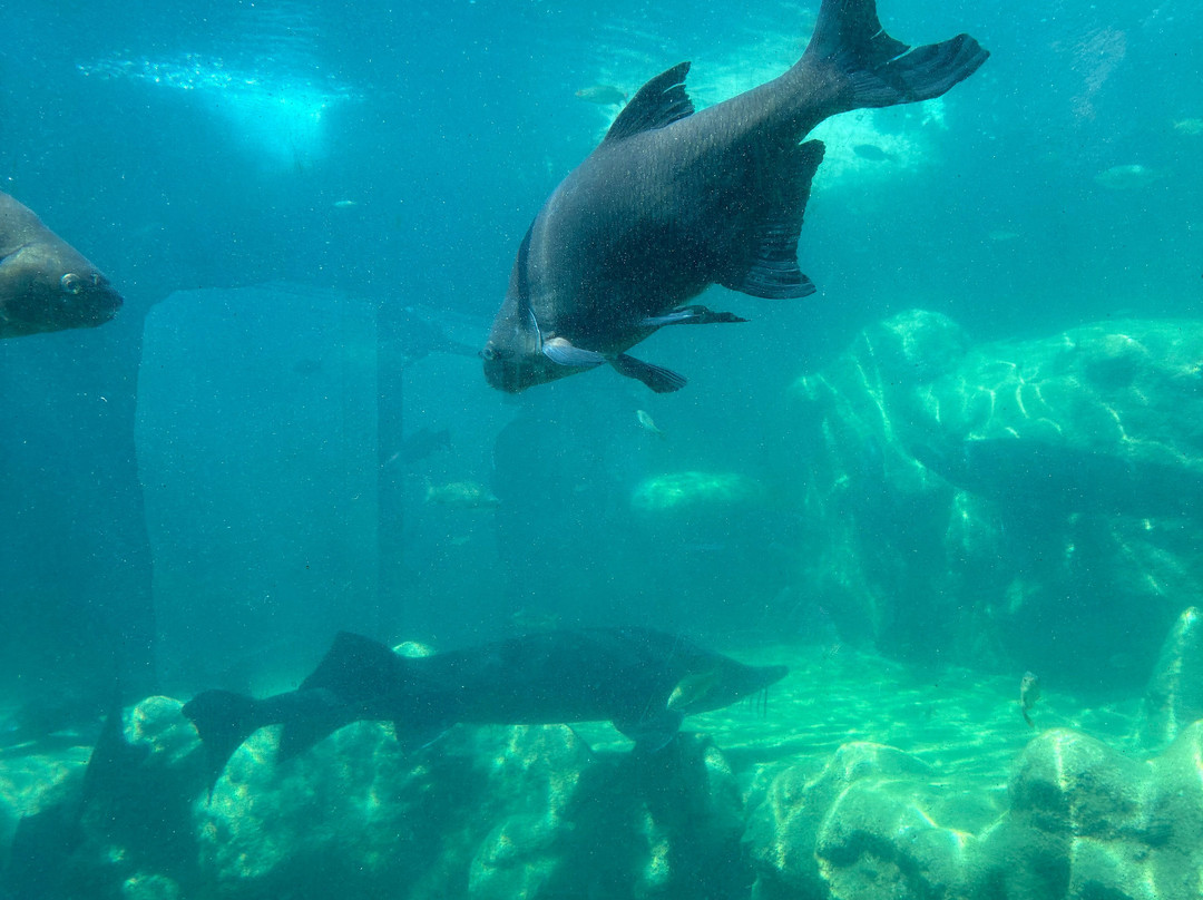 Aquarium du Perigord Noir-Le Bugue必去景点