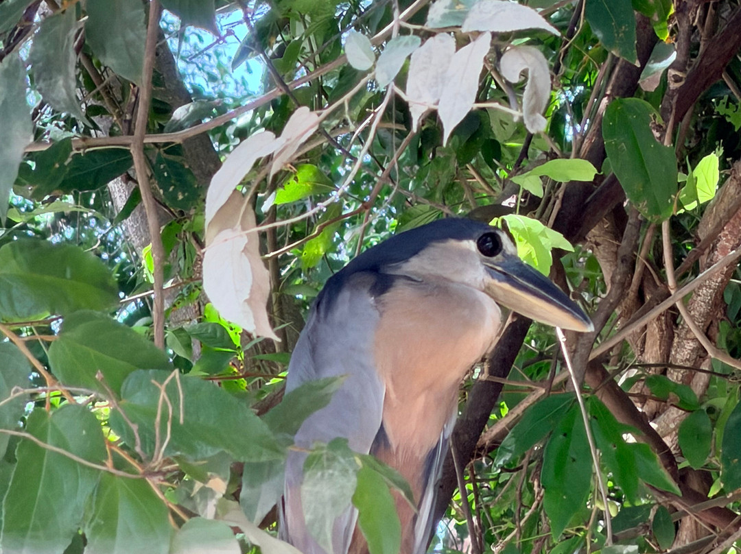 Costa Rica Zone Adventures-Gulf of Papagayo必去景点