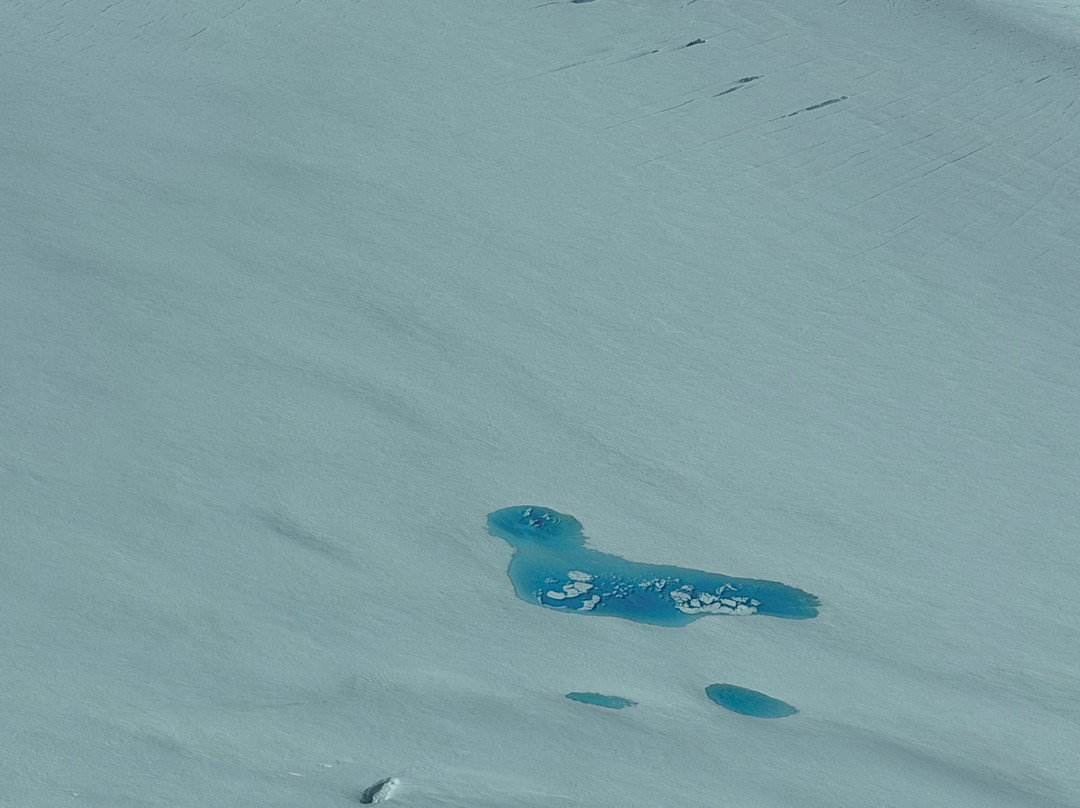 Kluane Glacier Air Tours-海恩斯章克申必去景点