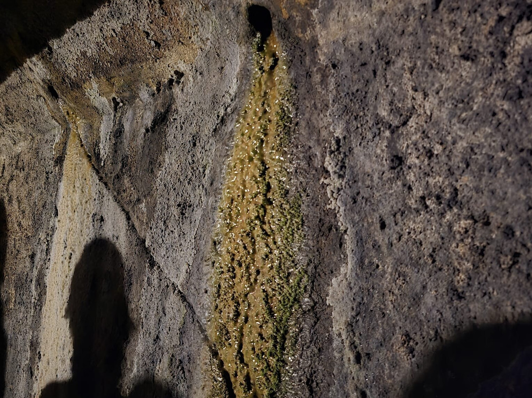 Museo Mines de Cercs-Cercs必去景点