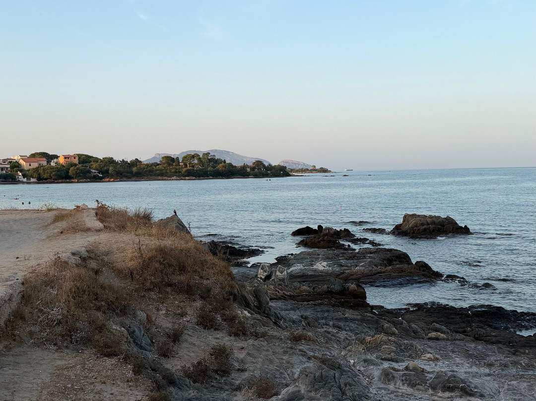Spiaggia Pittulongu - La Playa-奥尔比亚必去景点