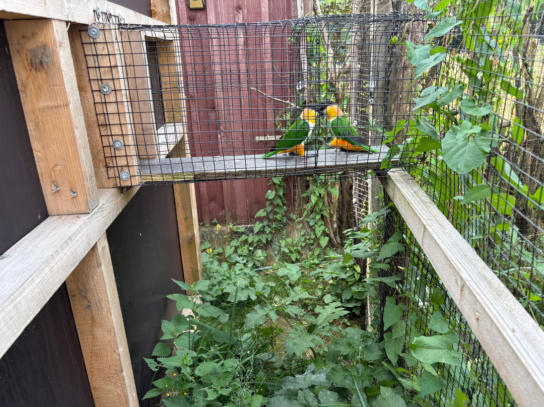 Zooparc Vallée De La Sûre