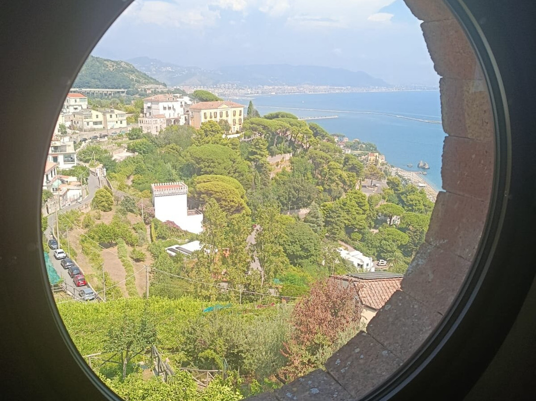 阿马尔菲海岸的石榴树主图