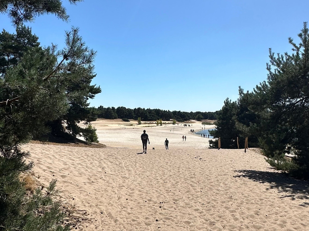 Uitkijktoren Lommelse Sahara-洛默尔必去景点