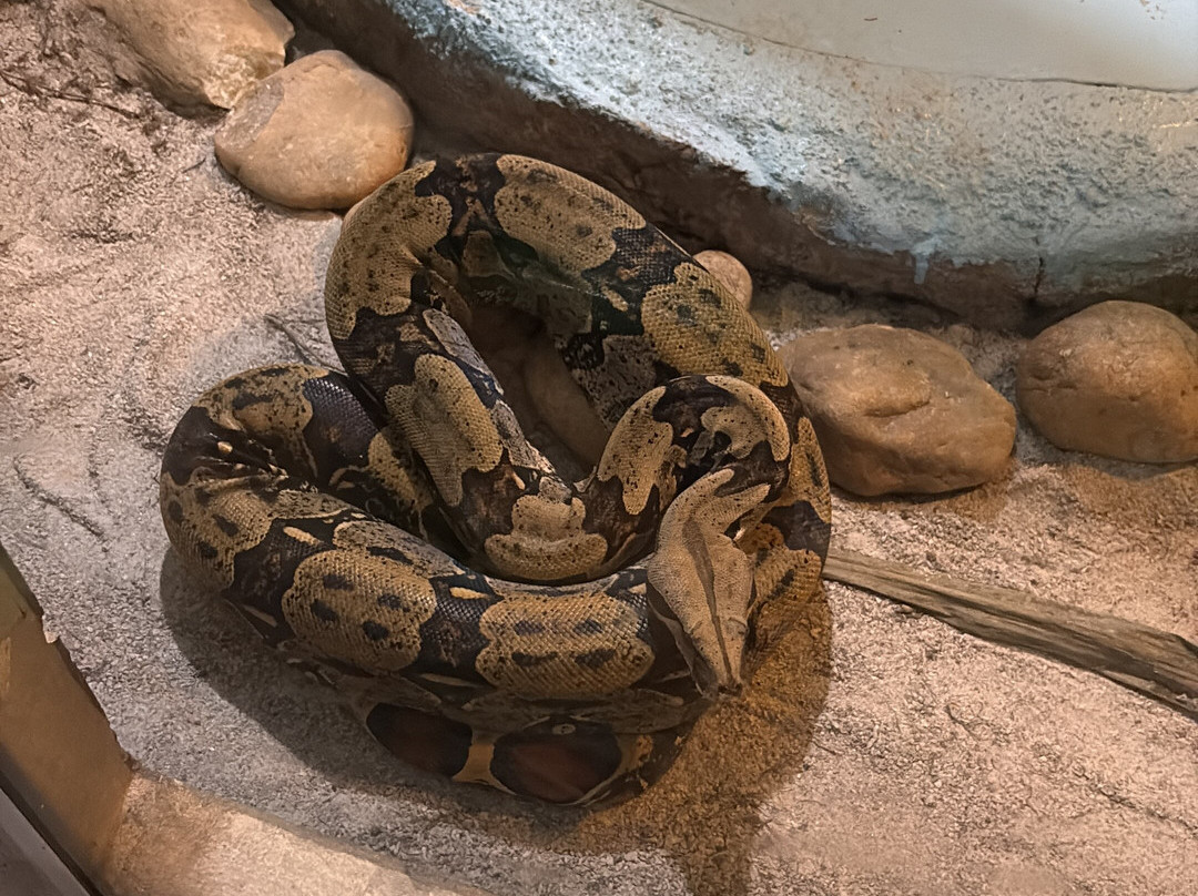 Parque Zoobotanico de Brusque-Brusque必去景点