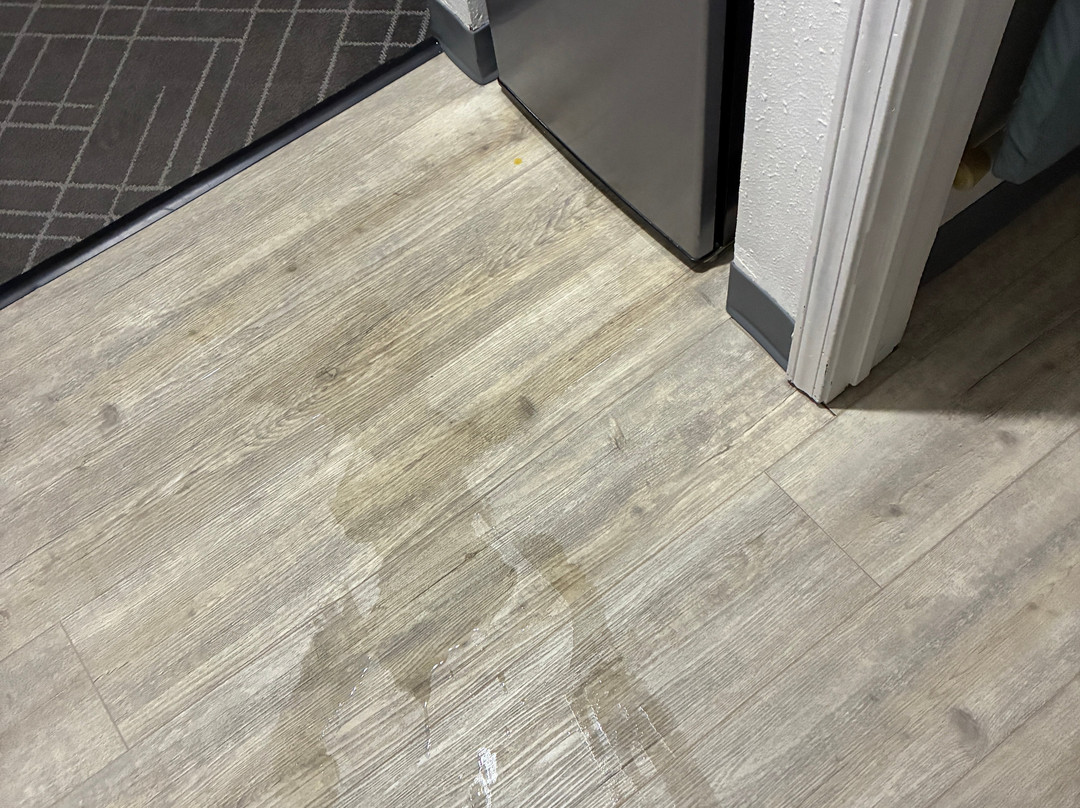 什里夫波特I-49舒适酒店主图
