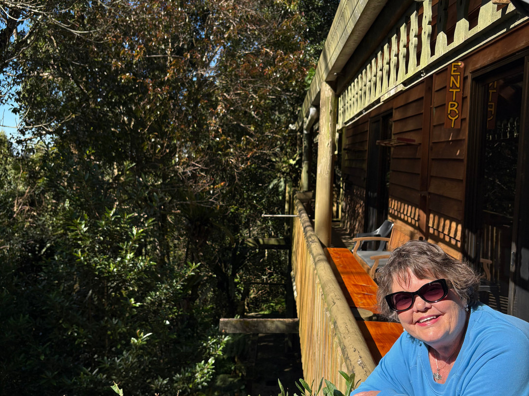 Albert's On Lyrebird