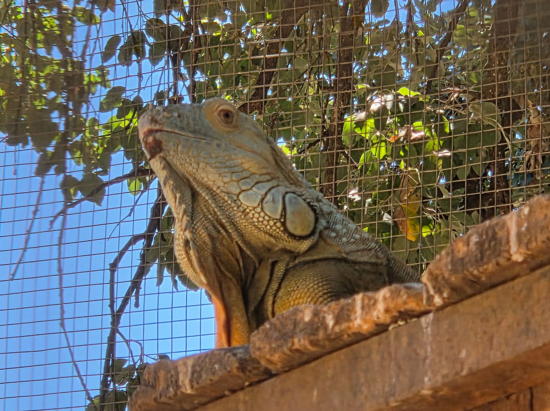 Zoo de Castellar-Castellar de la Frontera必去景点