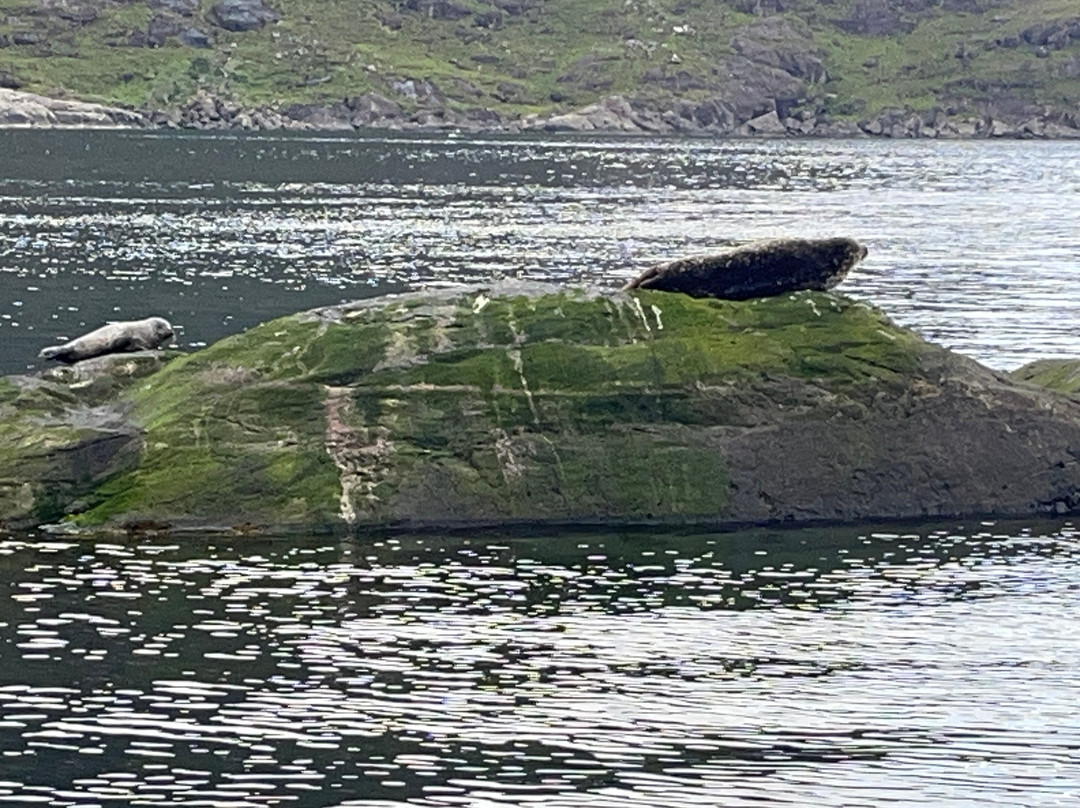 Misty Isle Boat Trips-Elgol必去景点