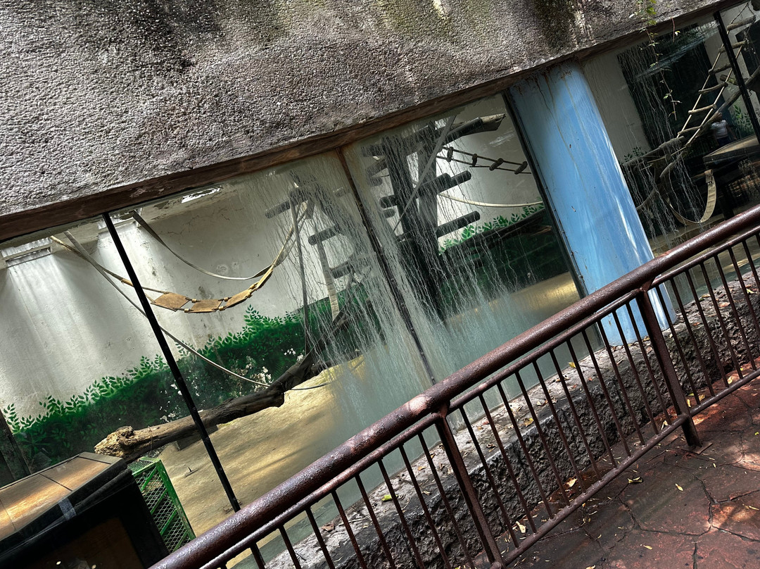 Zoológico de Chapultepec-墨西哥城必去景点