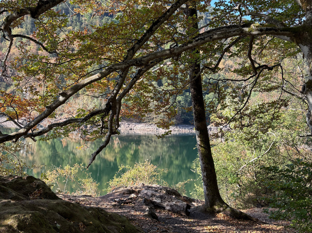 Lac d’Alfeld-Sewen必去景点