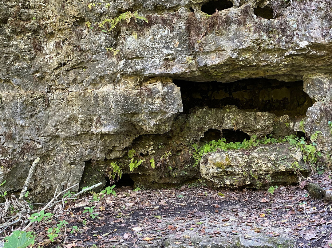 The Highlands Nature Sanctuary-Bainbridge - Ross County必去景点