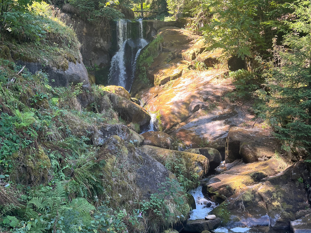 Triberg Waterfalls-特里贝格必去景点