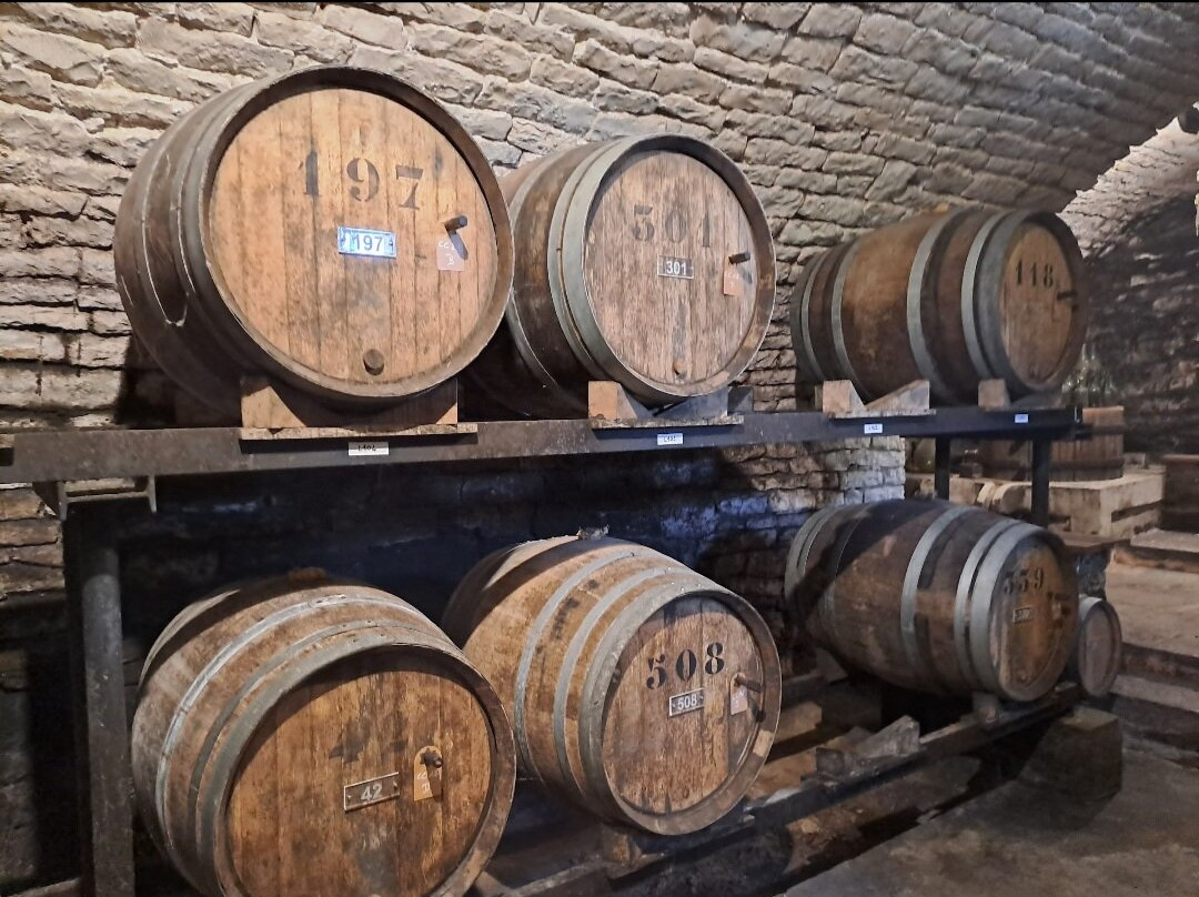 Domaine Berthet-Bondet-Chateau Chalon必去景点