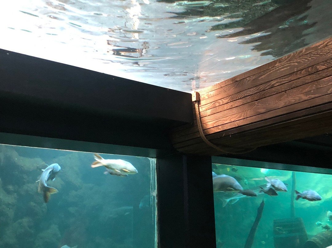 Aquarium De Touraine-Lussault-sur-Loire必去景点