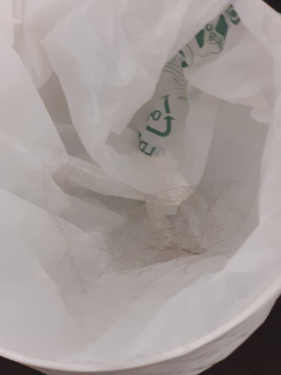 施灵格斯霍夫酒店-旅行者
