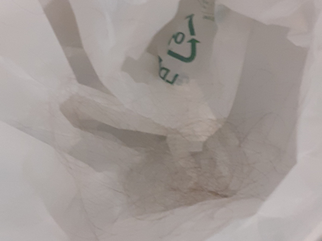 施灵格斯霍夫酒店主图