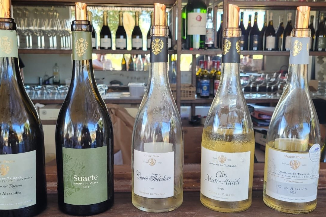 Domaine De Tanella-Figari必去景点