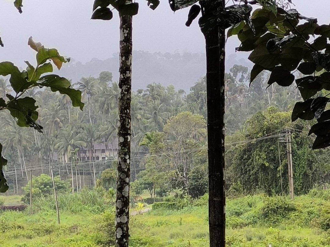 Casa Coorg Homestay主图