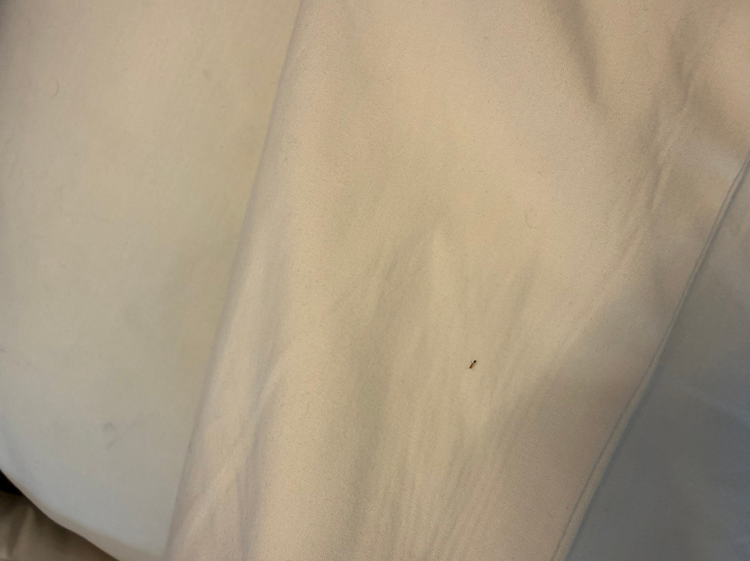 兰卡威中央海滩雅乐轩酒店主图