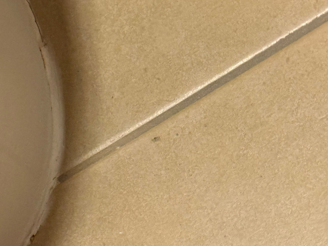 阿纳海姆大狼屋酒店主图