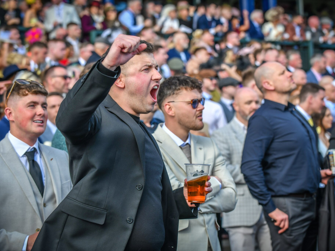 The Races at Ayr Racecourse-艾尔必去景点