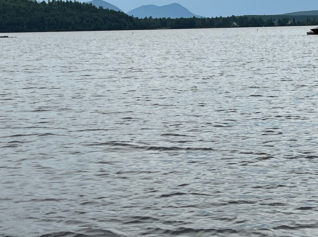 Capt Rogers Pontoon Boat Rental-Rockwood必去景点