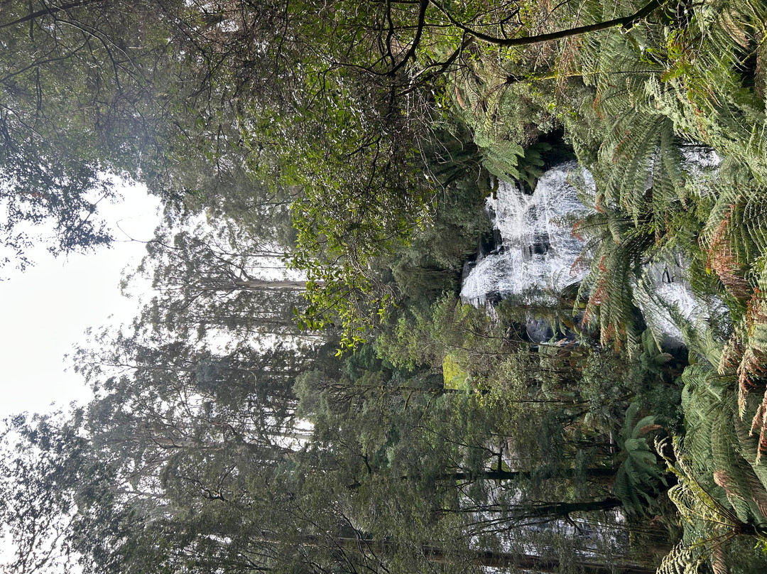 Triplet Falls-Beech Forest必去景点