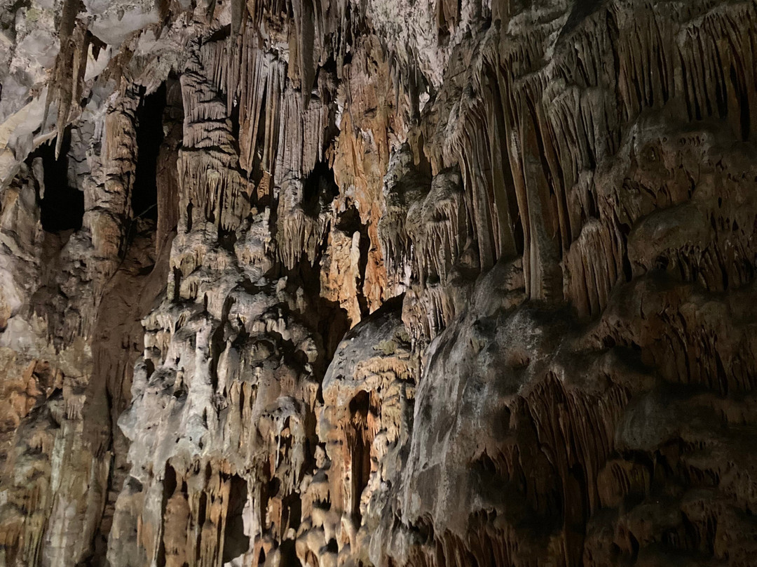 Grotta Gigante-Borgo Grotta Gigante必去景点