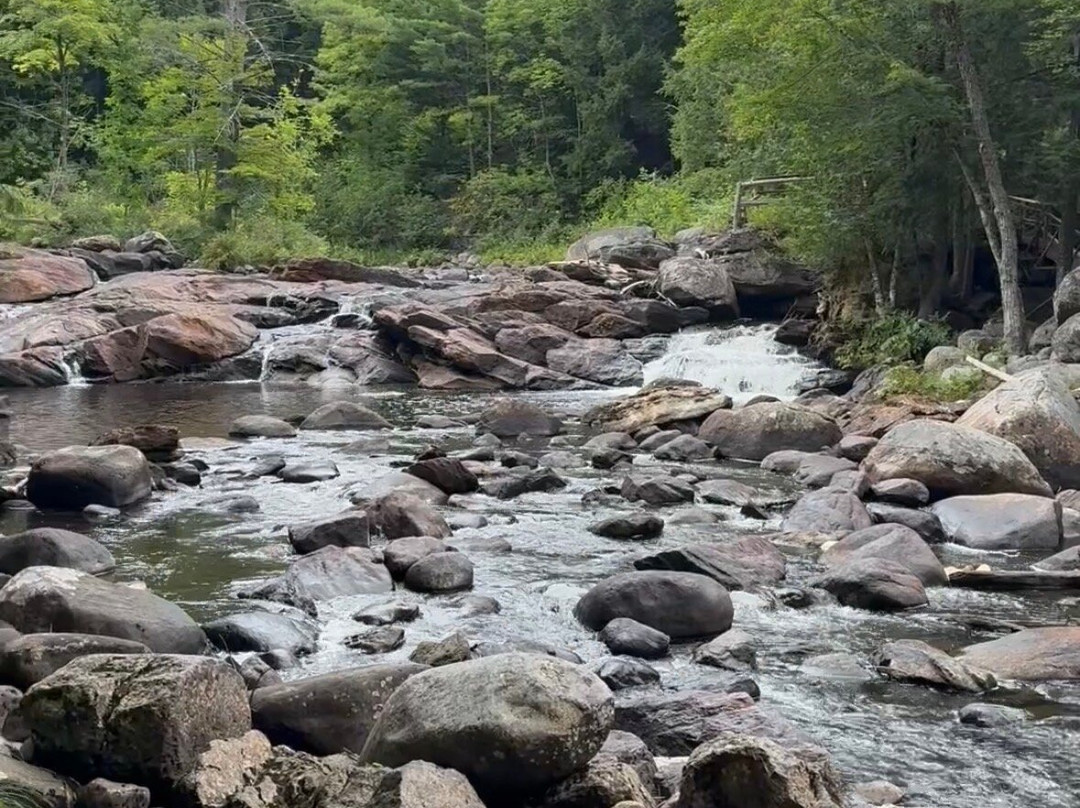 Natural Stone Bridge and Caves-Pottersville必去景点