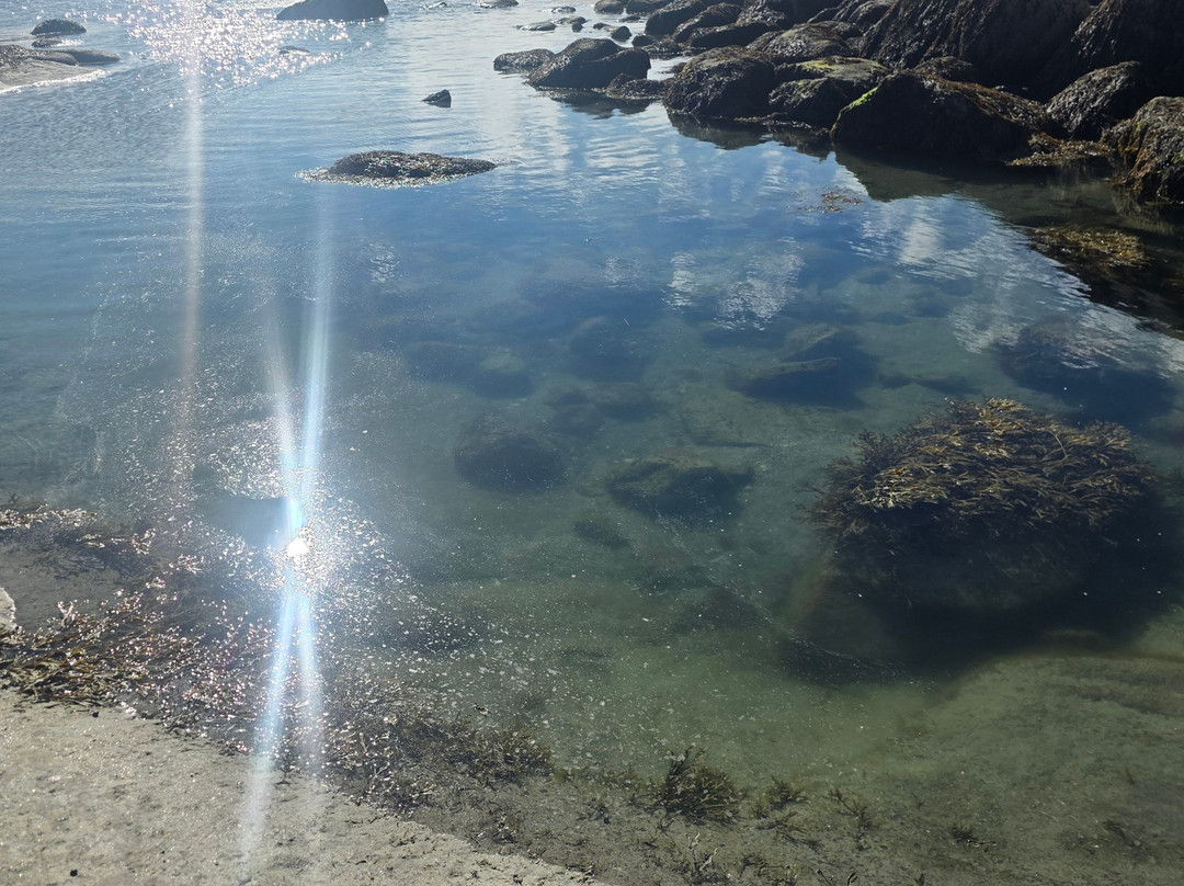 Wingaersheek Beach-格洛斯特必去景点