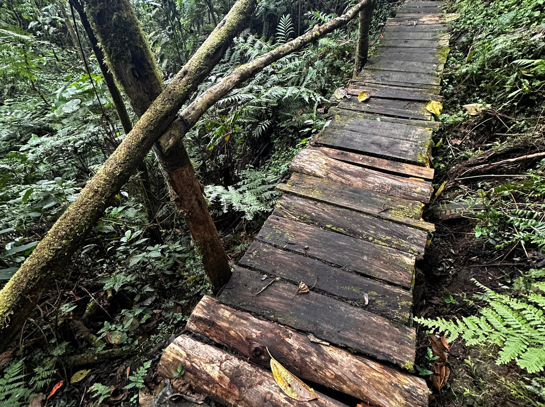 Parque Natural Los Tunos-San Antonio del Tequendama必去景点