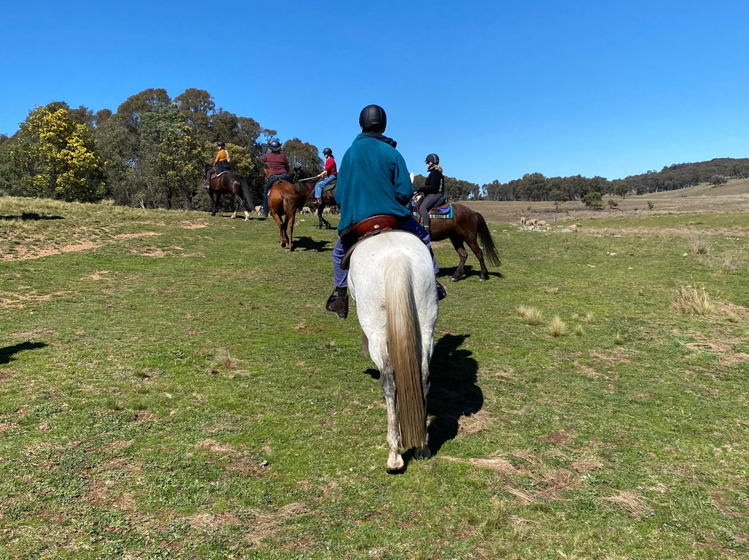 Burnelee Excursions on Horseback-穆任百特曼必去景点