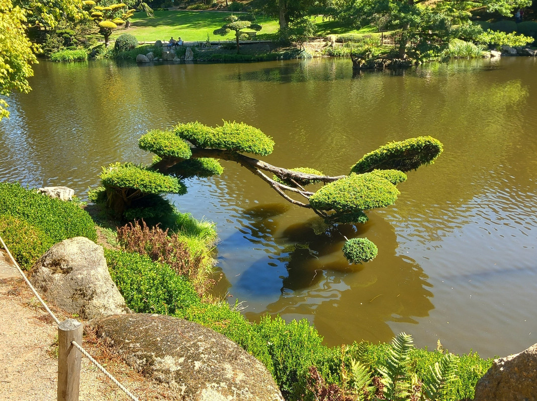 Parc Oriental de Maulevrier-Maulevrier必去景点