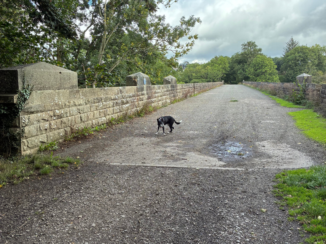 Eden Viaducts-Kirkby Stephen必去景点