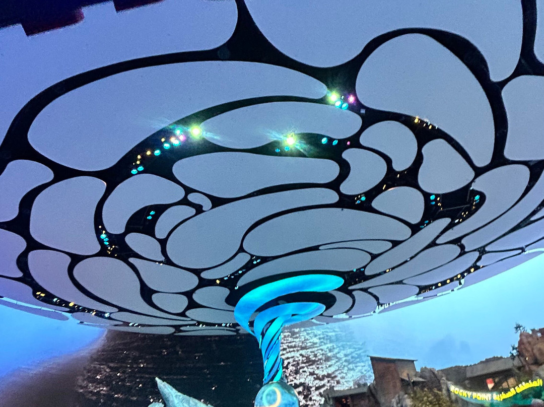SeaWorld Yas Island Abu Dhabi-阿布扎比必去景点
