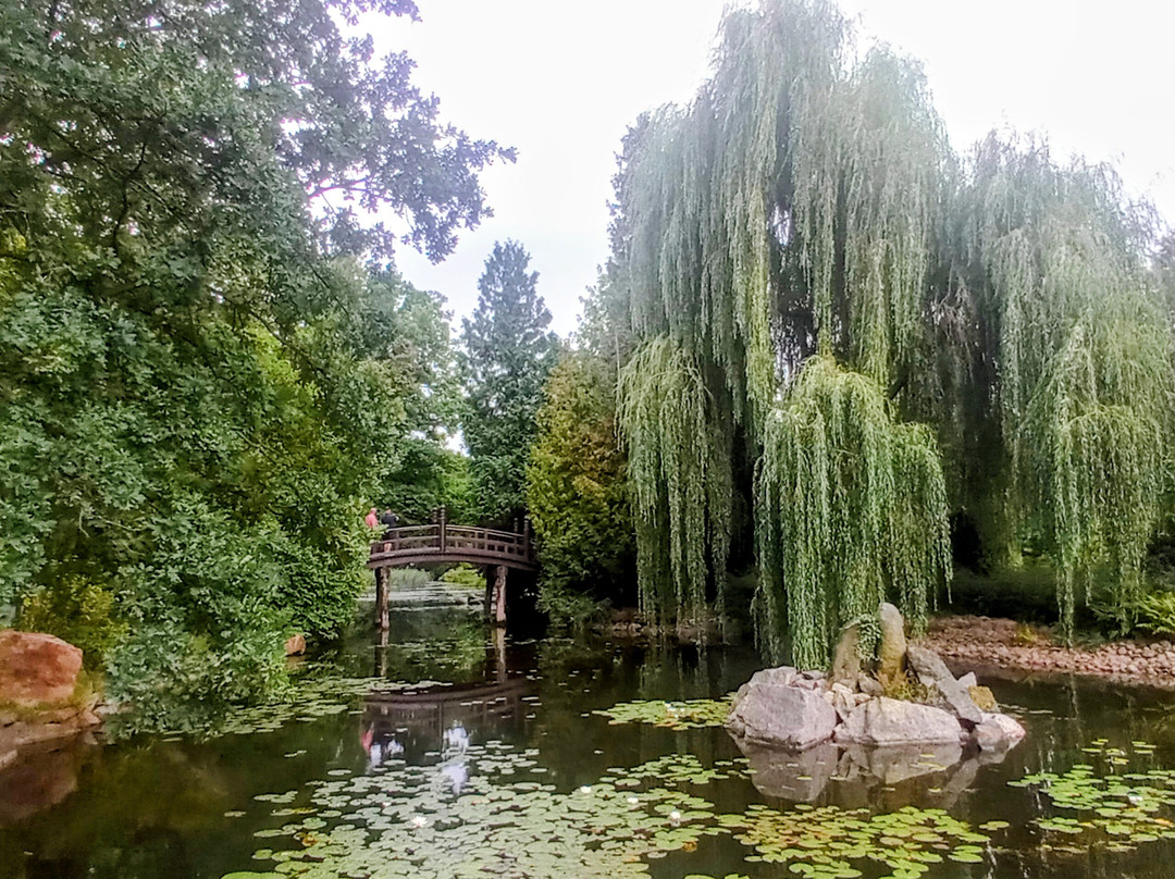 Japanese Garden - Szczytnicki Park
