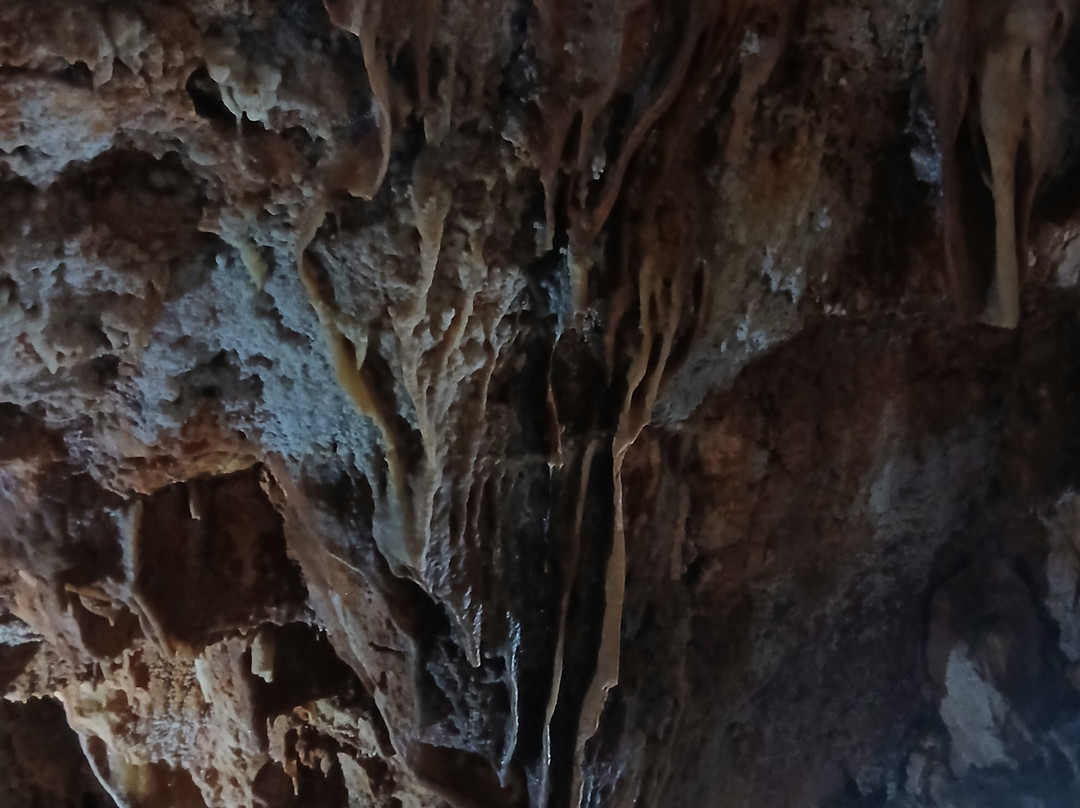 Grotta del Trullo-Putignano必去景点
