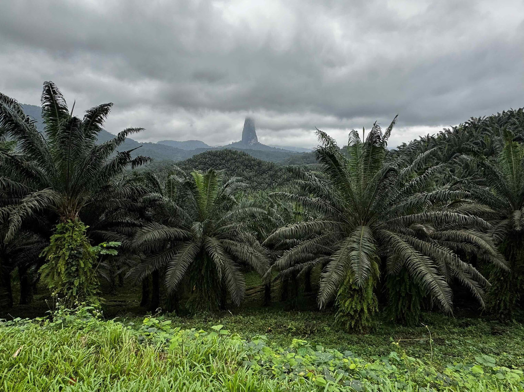 Obo National Park-圣多美必去景点
