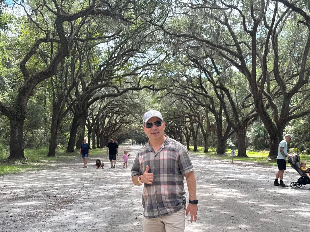 Wormsloe Historic Site-萨凡纳必去景点